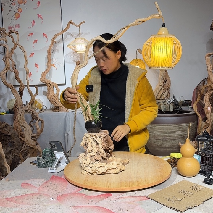 优****杜鹃根艺术中心根灯
