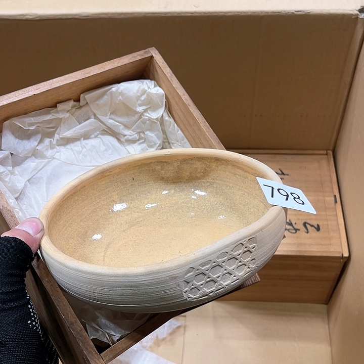 茶宠我们都在努力着改变自己
