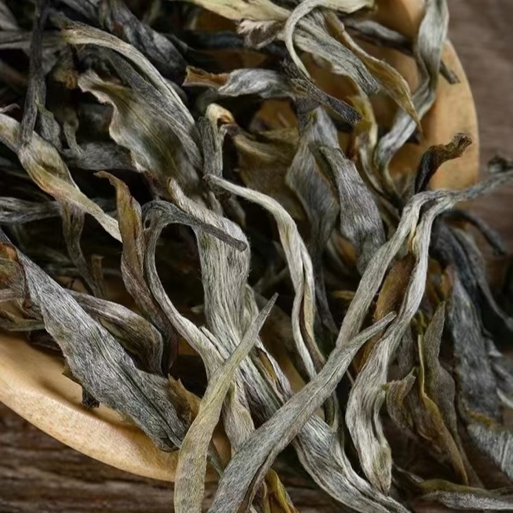 小冰岛古树纯料普洱生茶试喝装