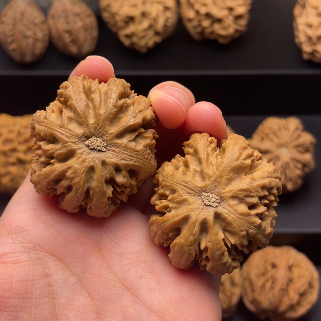 把件文玩核桃秦岭核桃38号