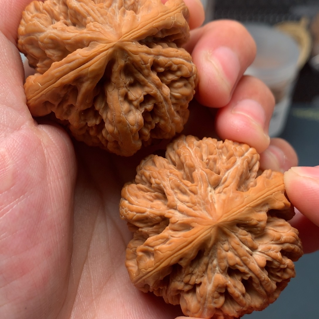 【闪购商品】桃核吊坠粗大 筋46-767-3