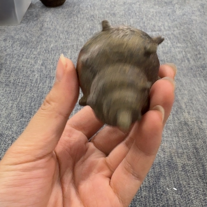 非常美丽漂亮的物