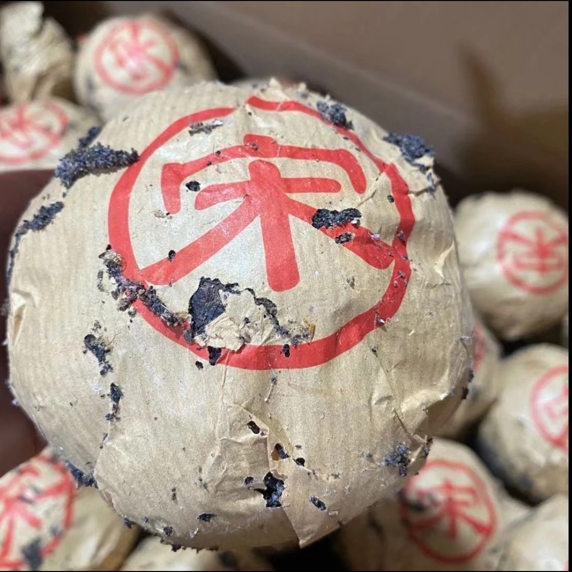 云南普洱宋字虫宝沱250g 生茶