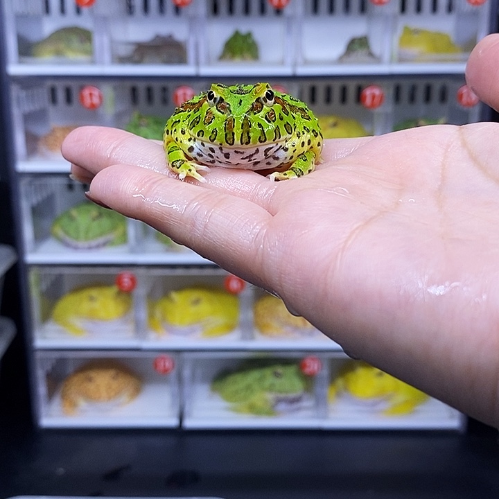 特价秒杀活动地址