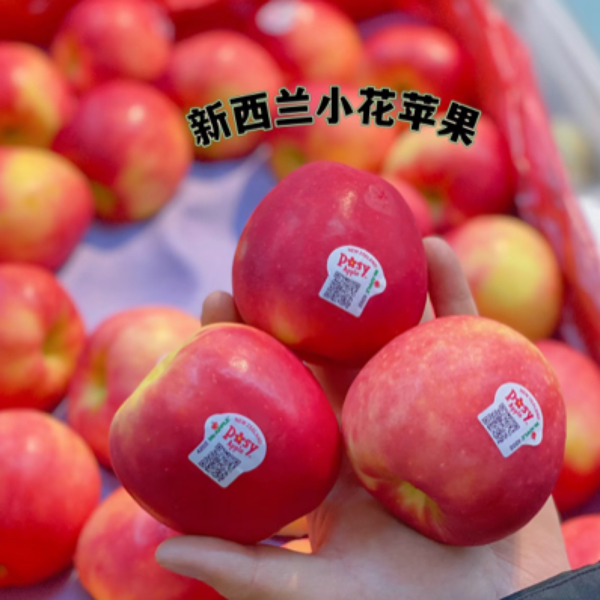 脆甜新西兰神仙果8个装云南省