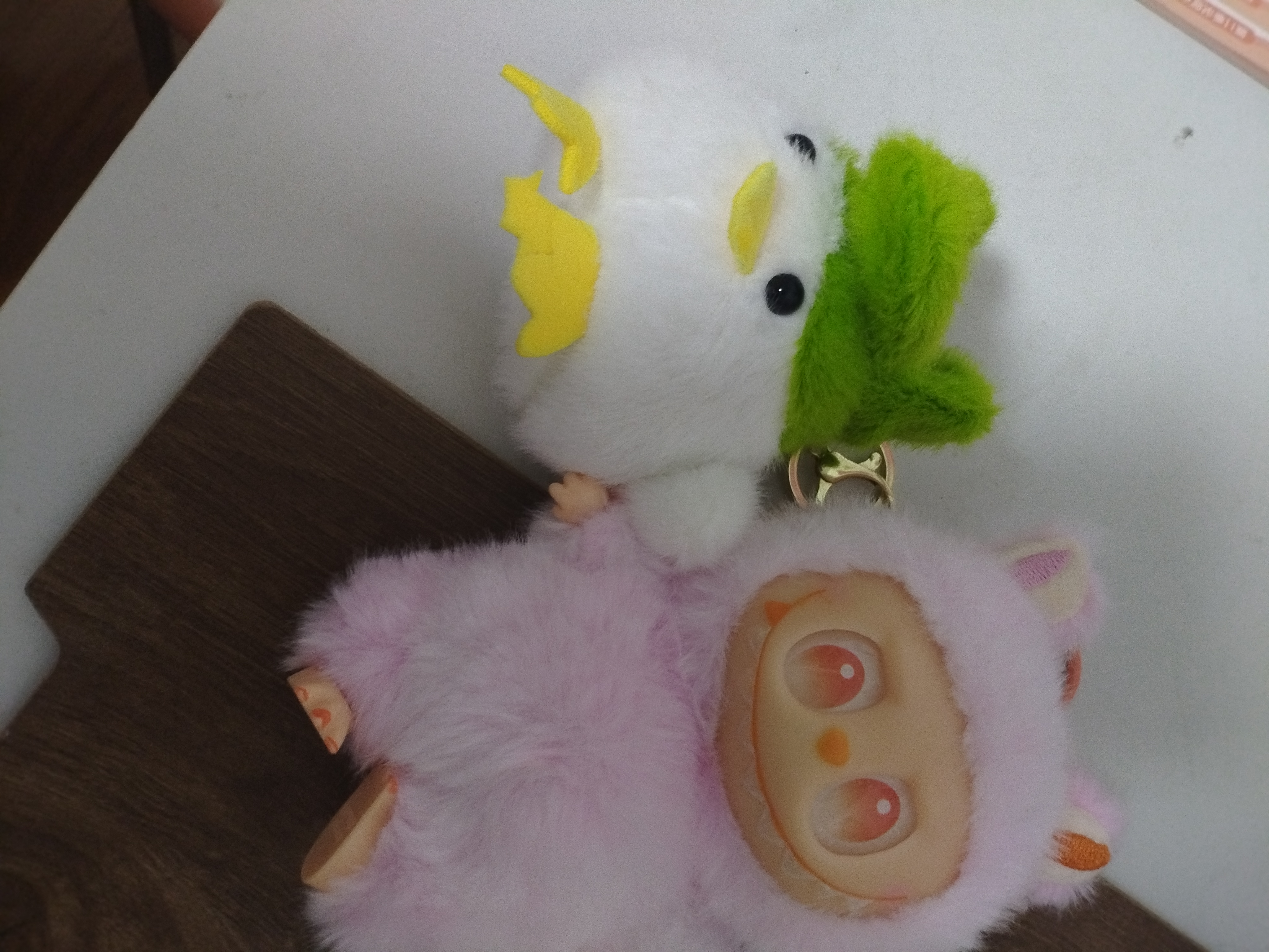 一个算鸟十一个拉布组合
