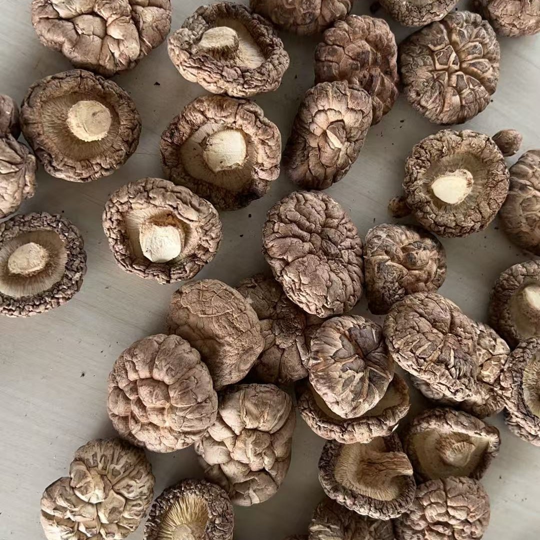 【古县三合镇农土特产】香菇干货肉厚无根可煲汤炒菜的鲜美食用菌