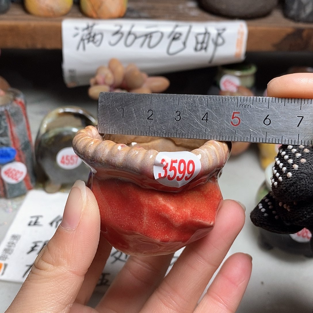 红陶拍5送一个小