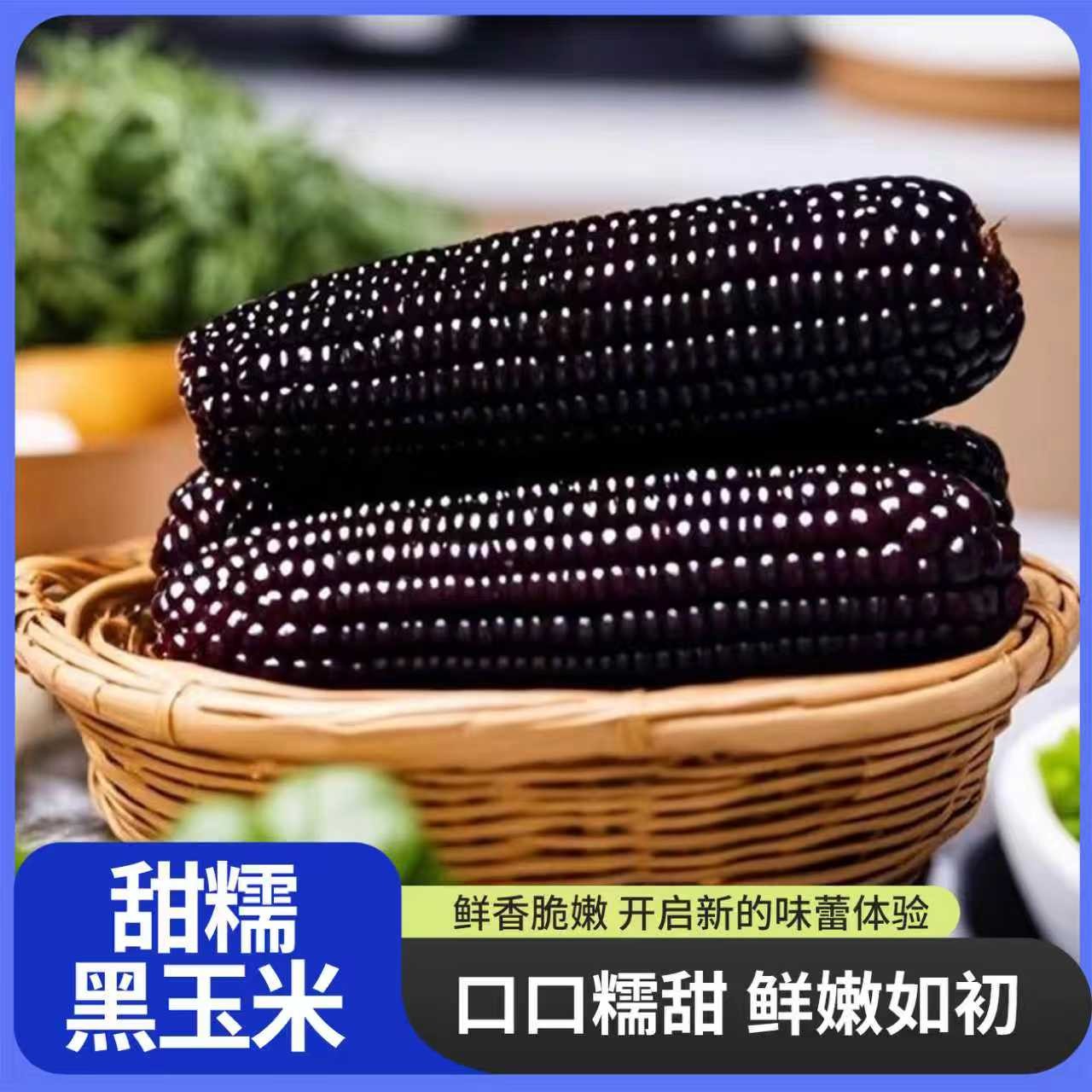 东北甜糯黑玉米真空装新鲜富含花青素一整箱10根糯玉米甜糯玉米