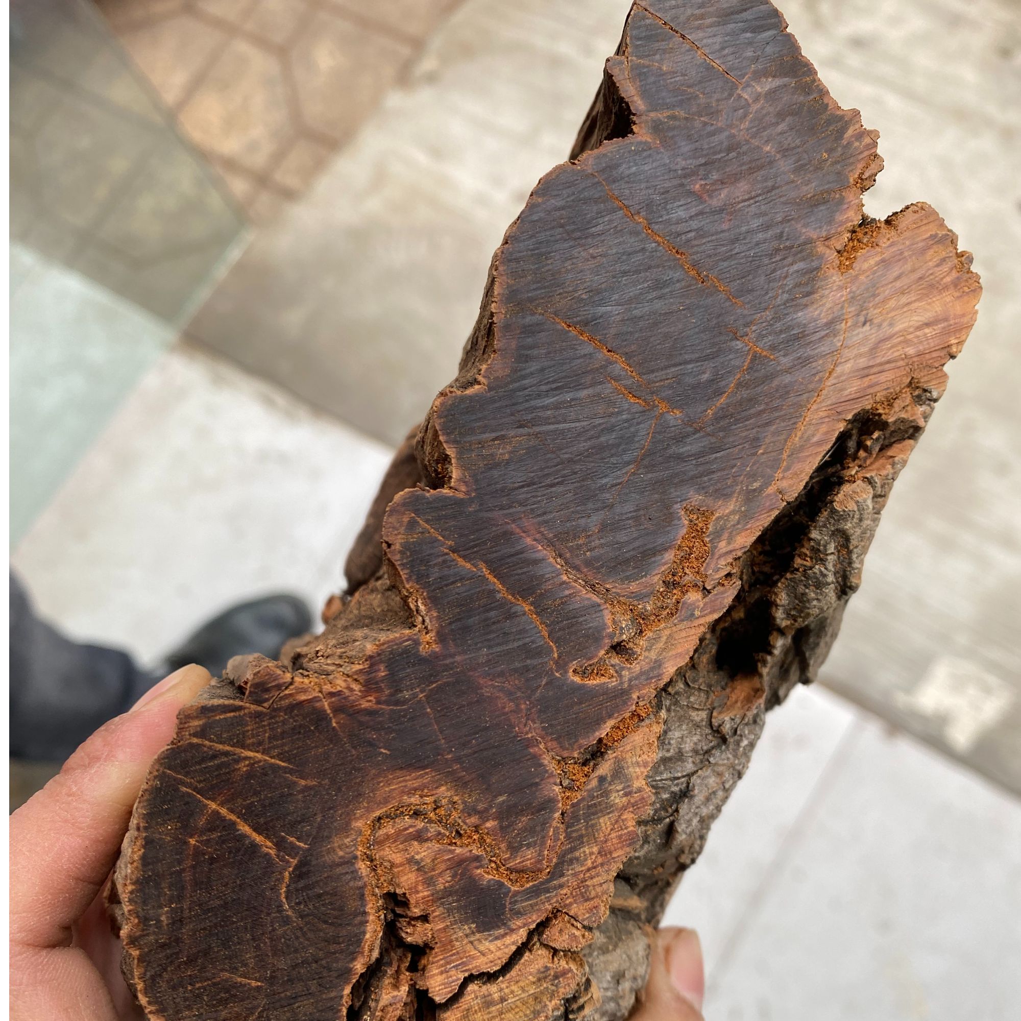 柏木芳根艺黑油 香 珠子勿私拍同款私聊客服！