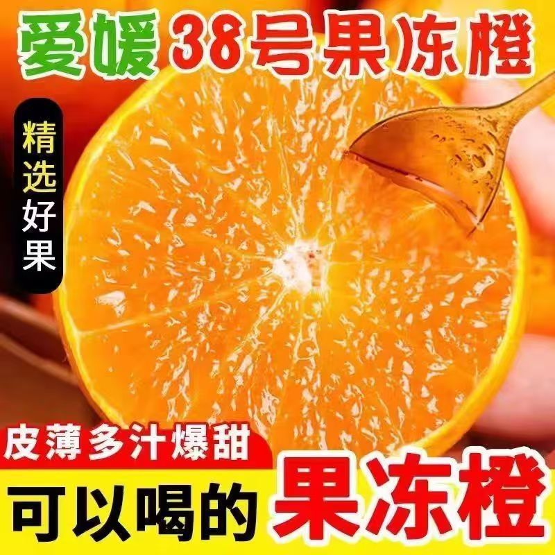 【坏果包赔】四川爱媛果冻橙新鲜现摘当季水果皮薄鲜嫩多汁果园直发