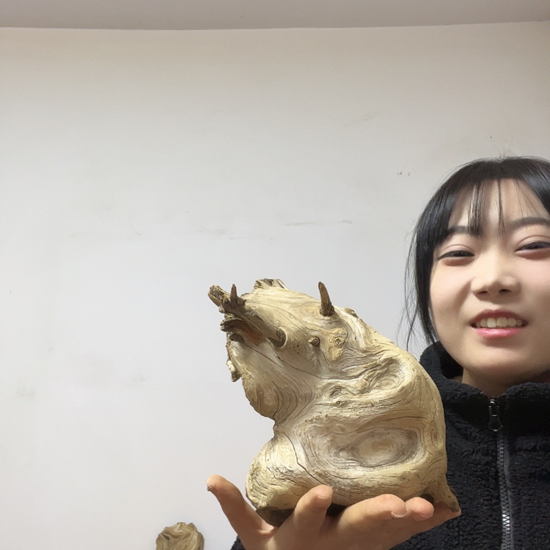 灵***犀柏木（崖柏）这个世界上最好的