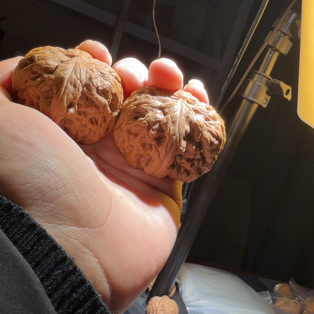 文玩核桃把件驴打滚