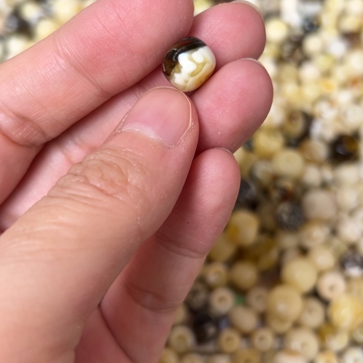 蜜蜡未镶嵌裸石9.5mm一个