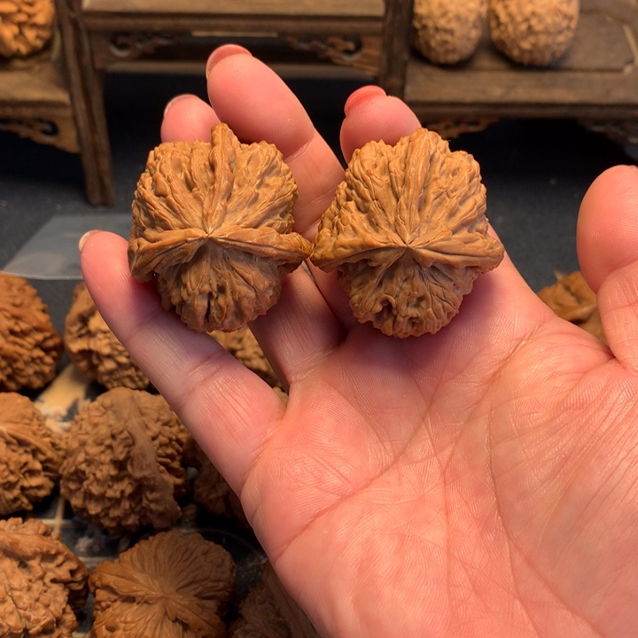 大叶紫檀（黑酸枝木类）白狮子43尺