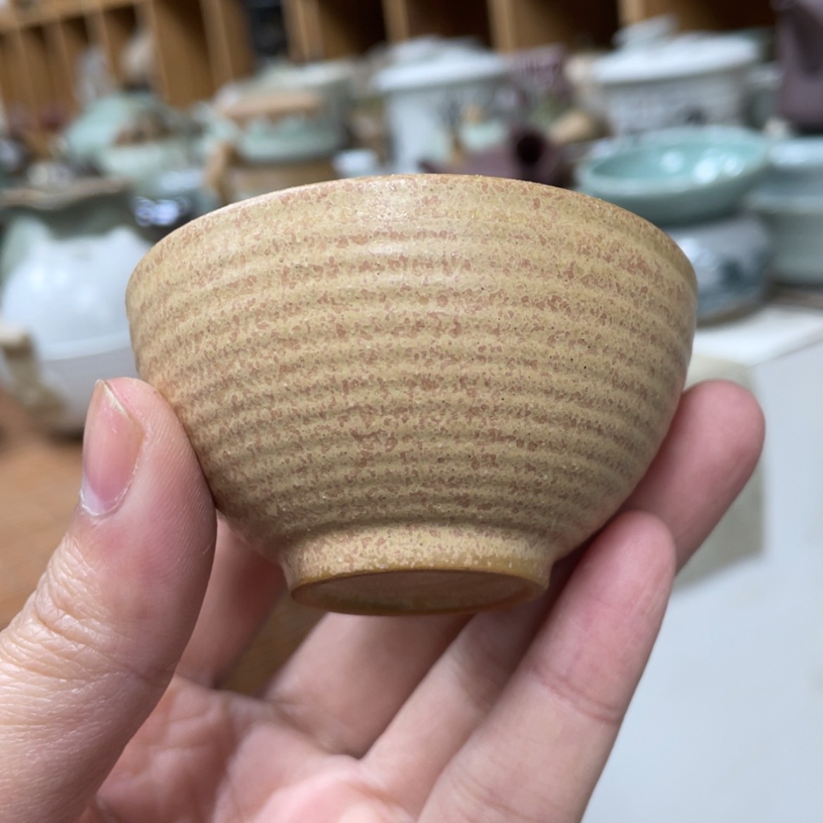 【闪购商品】壶老段烧陶瓷茶器！