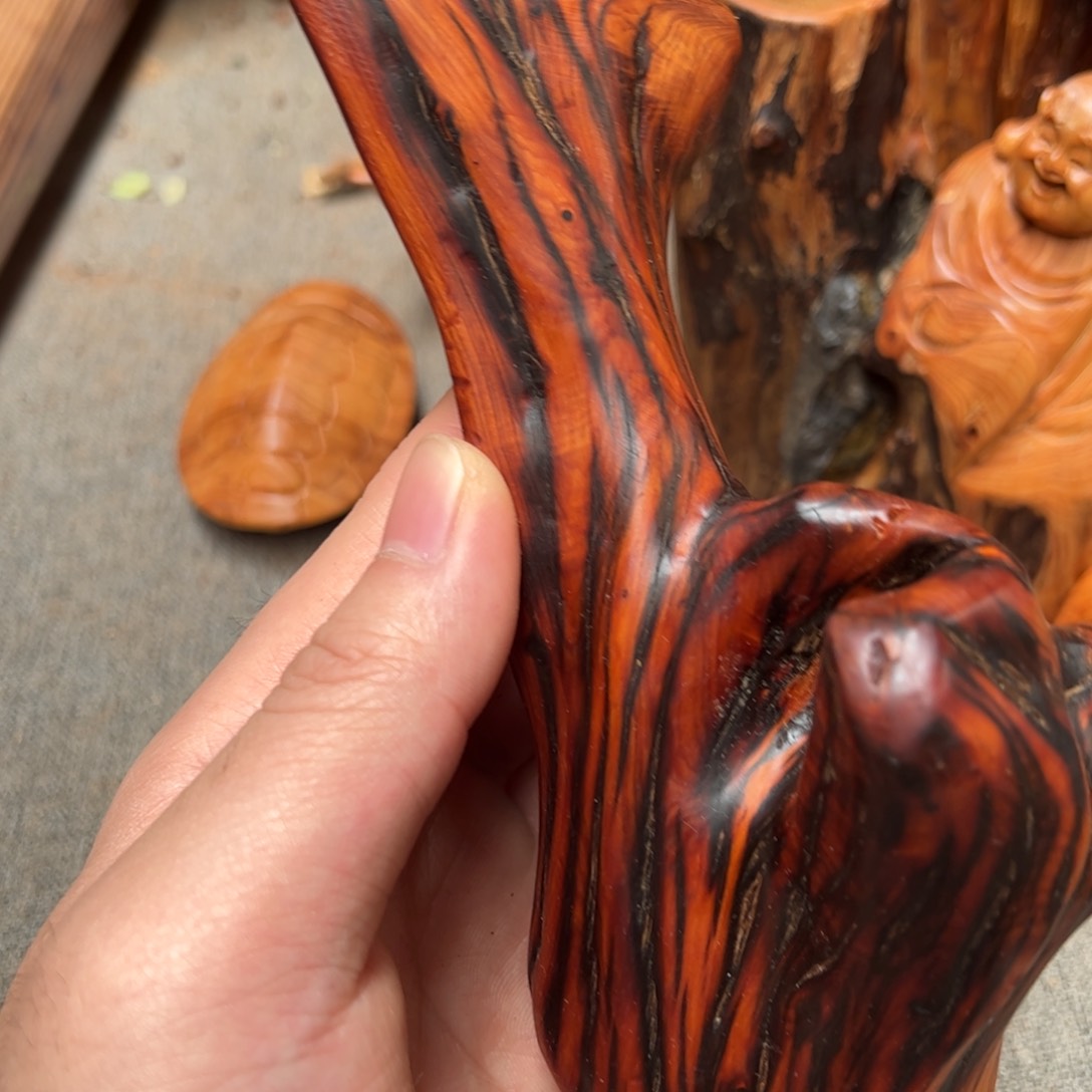 柏木（崖柏）太行崖柏陈化太行