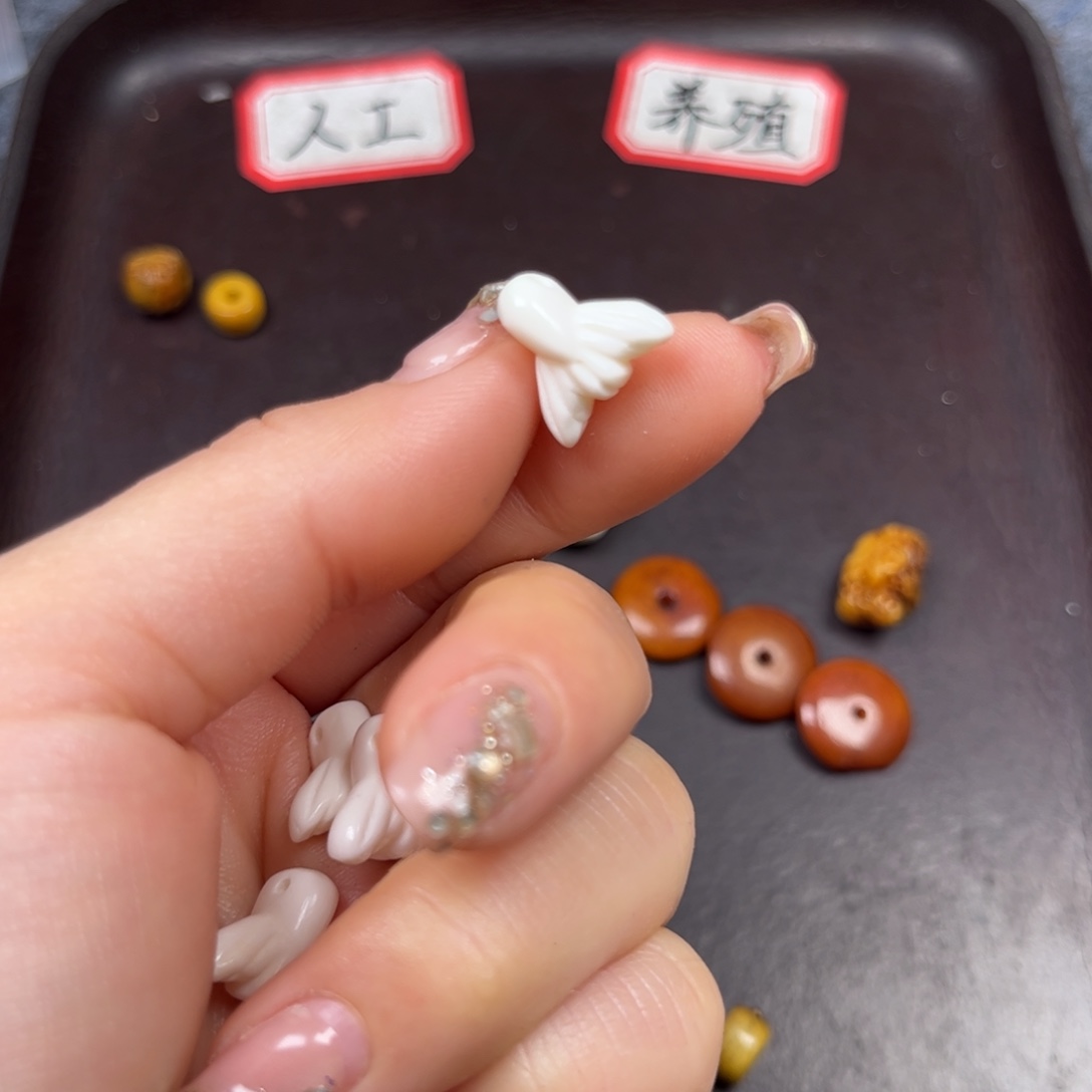 驼骨手串/手链编号3