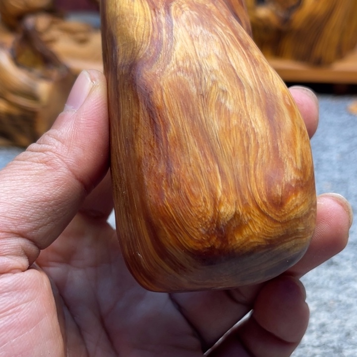 柏木（崖柏）崖柏577