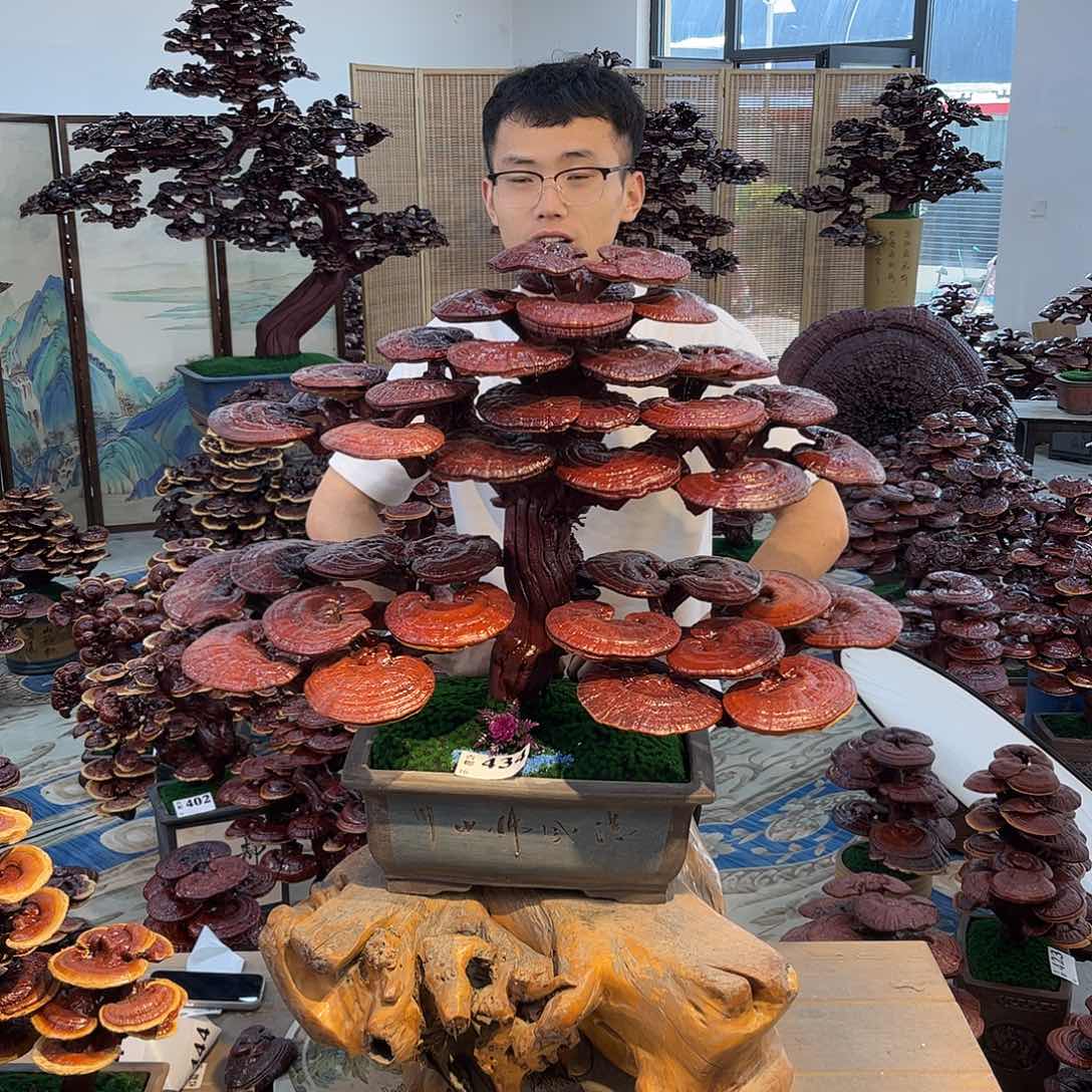 888888888888888888888