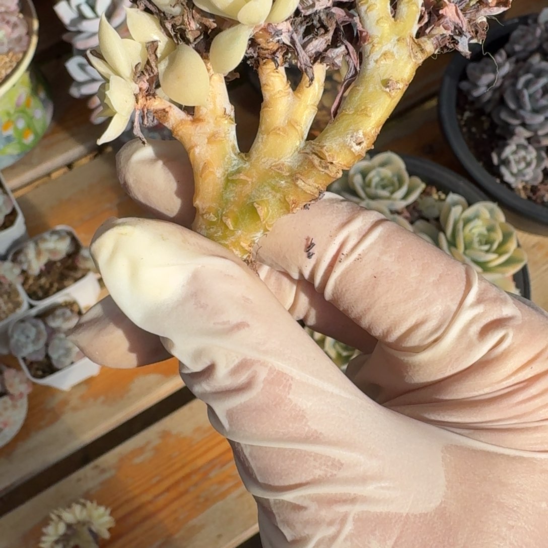 *****哈哈哈哈哈哈哈哈哈哈哈