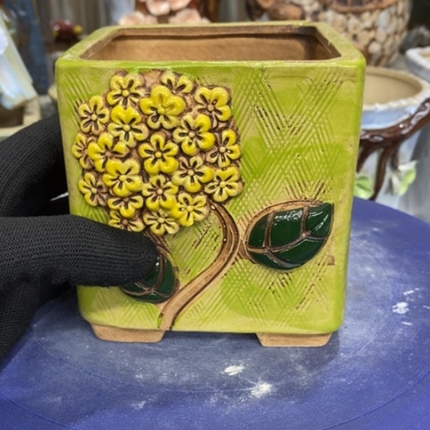 【闪购商品】红陶1