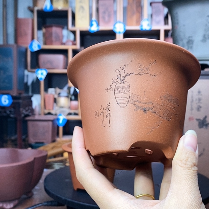 【闪购商品】紫砂红降坡