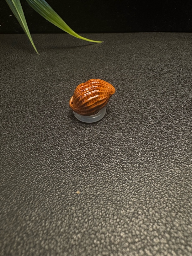 纯手工雕刻桃核花生