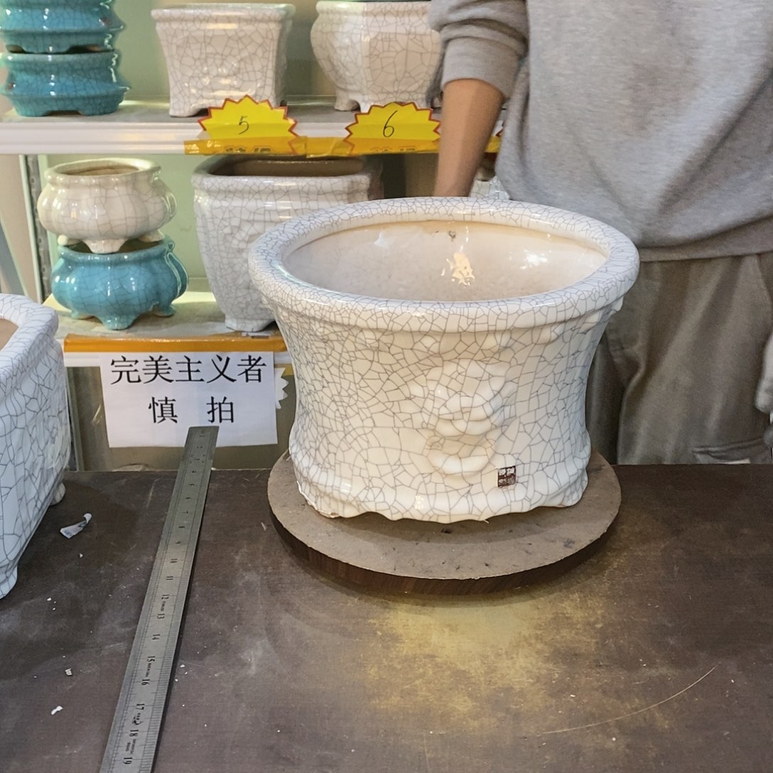 怡*瑕疵花盆花盆里的花都