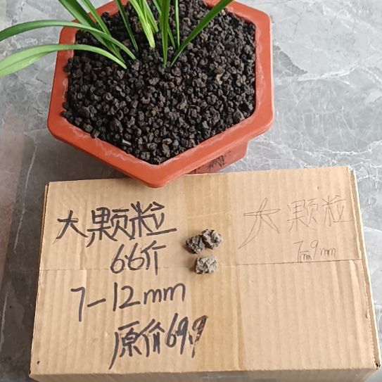 老***,兰菌黑山土大颗粒6.6斤