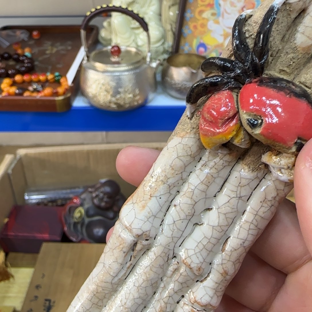 茶宠茶宠哈哈哈哈哈哈哈