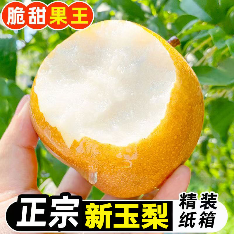 现摘新鲜正宗新玉梨当季新鲜水果香甜多汁黄皮梨子