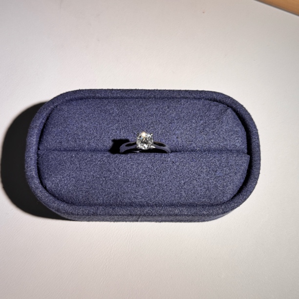 （NGTC）PT950简约四爪一克拉钻石戒指（重金版）精致