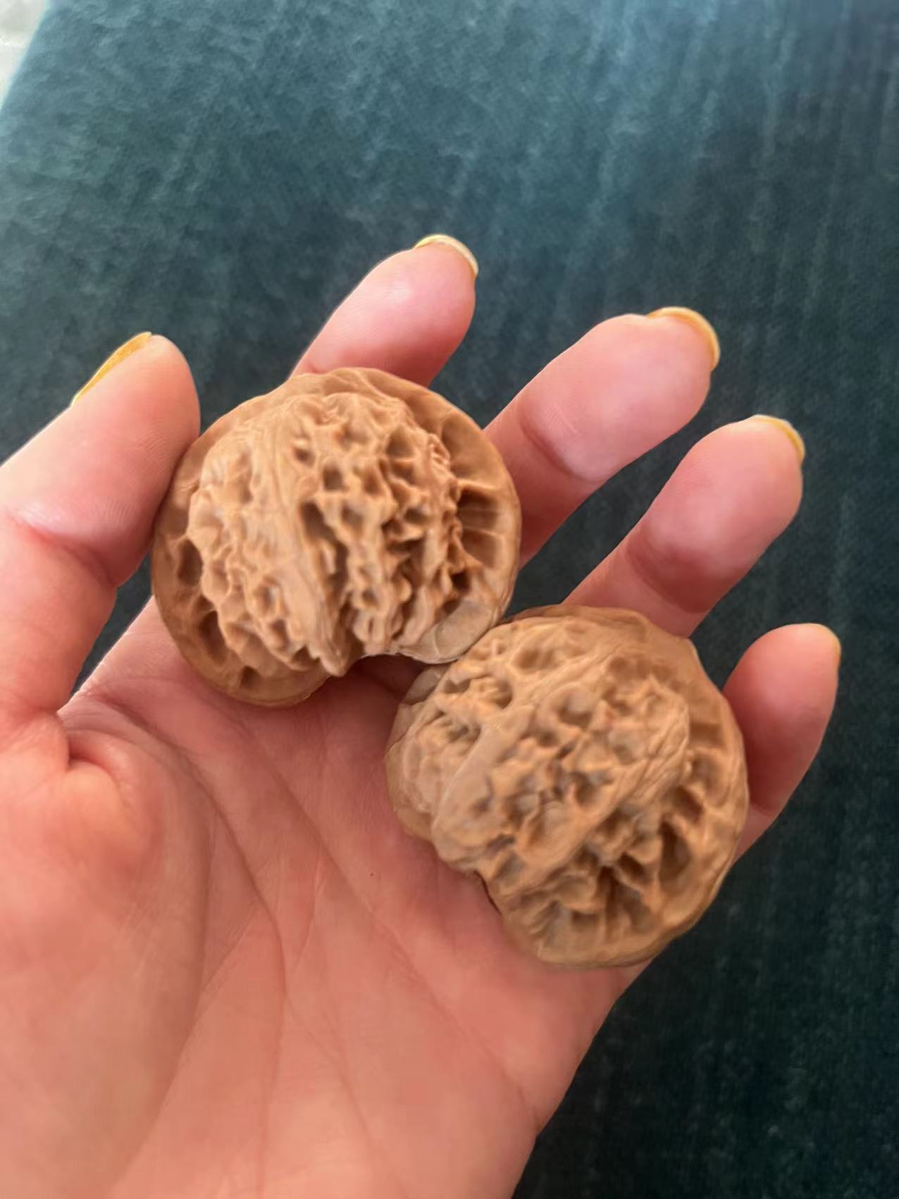 核桃把件直播专用链接