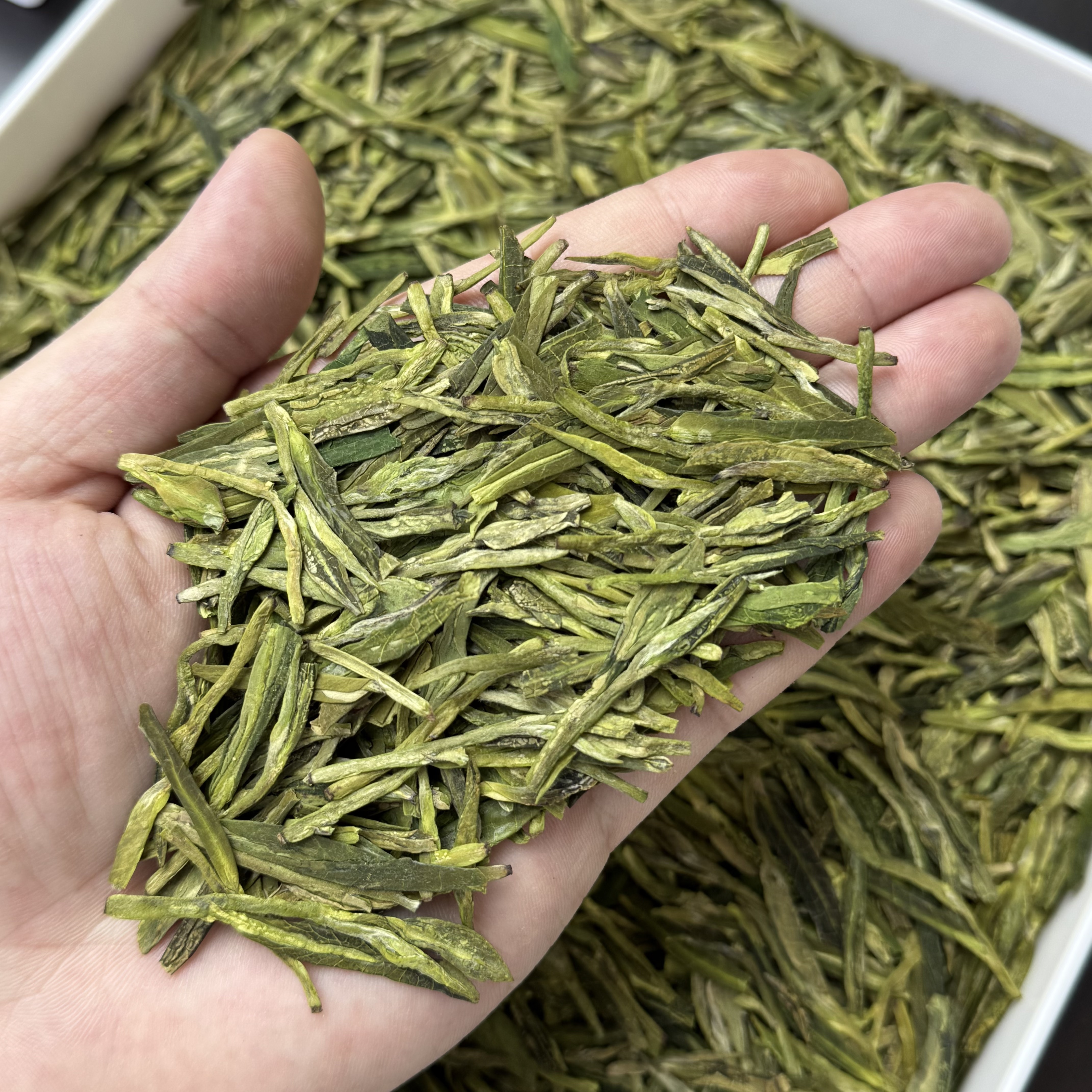 半斤茶轩 2025年新茶龙井豆香型绿茶250克自饮袋装口粮茶