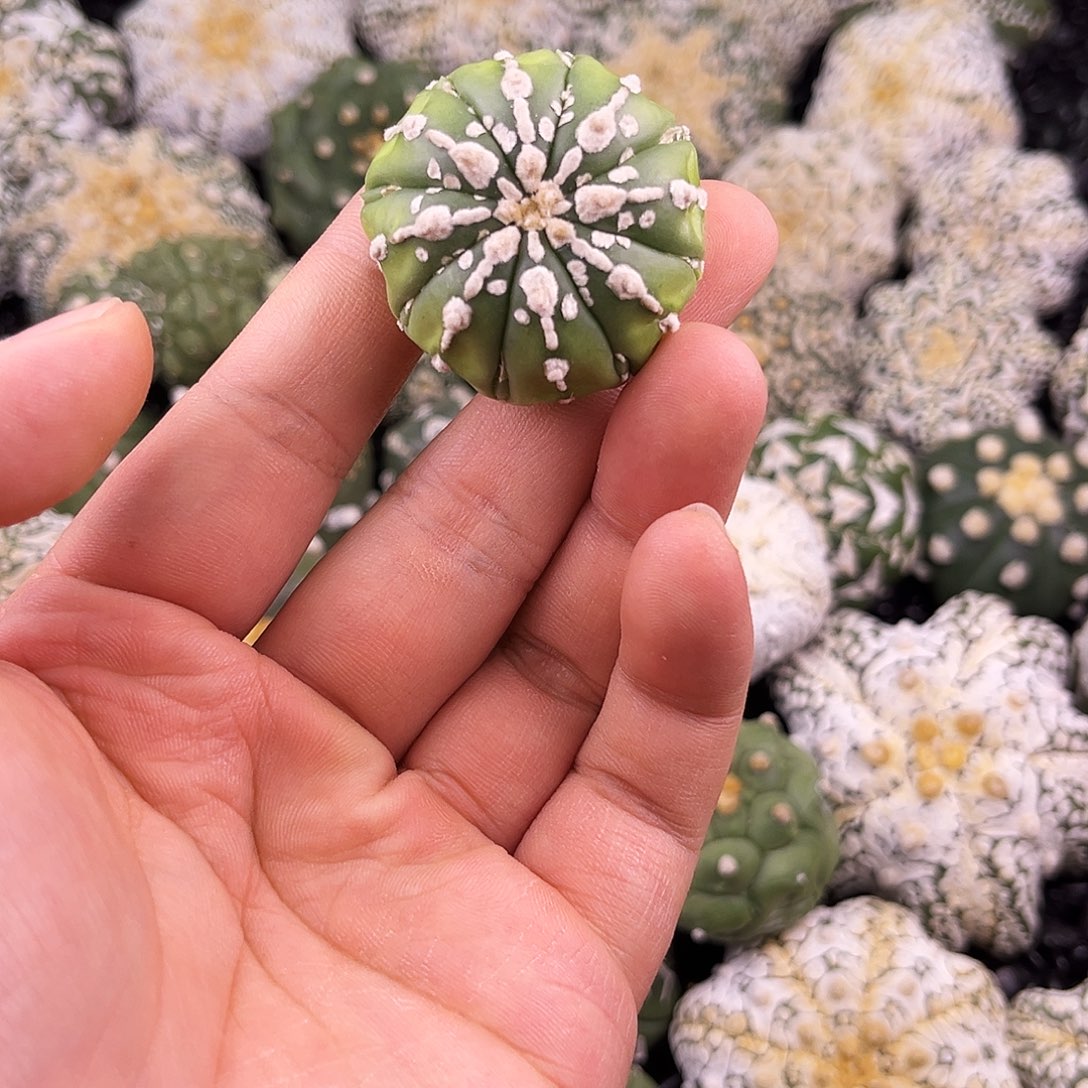 佑***潇哈哈哈哈哈哈哈兜兜兜