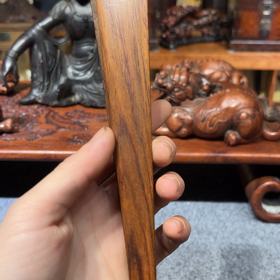 保***离香榧木585585585555555857558