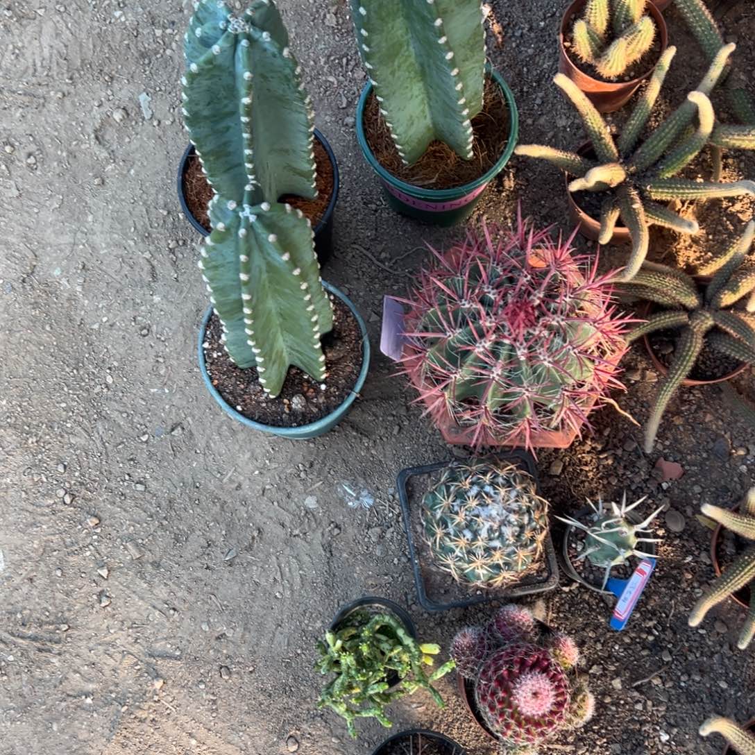 丶***、已清 零零落落 零零落落