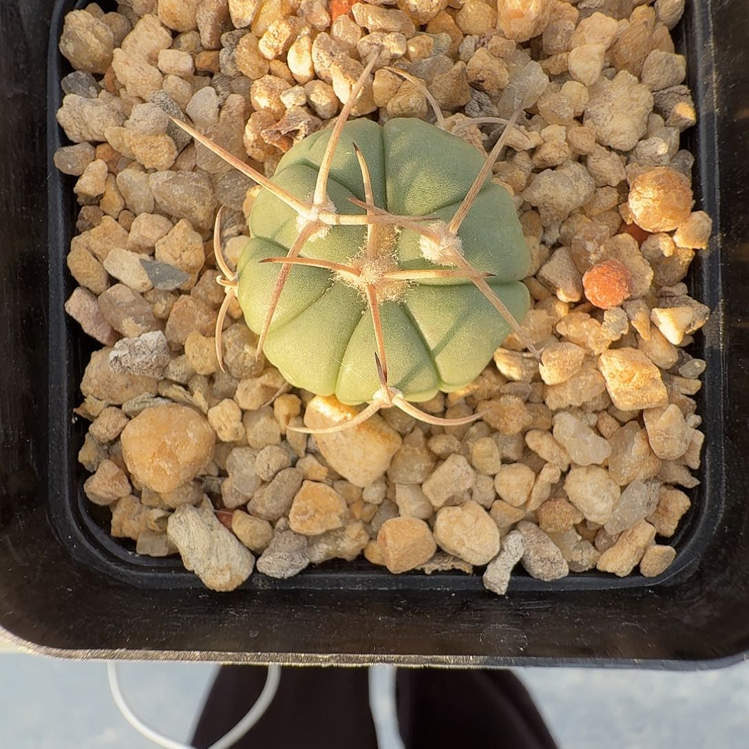 B***L花花花花花花花花花