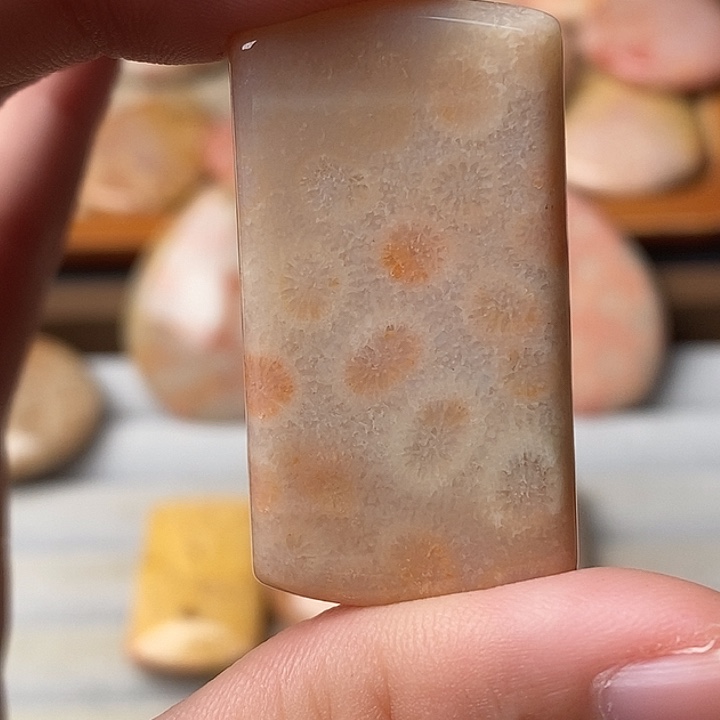 用***5硅化珊瑚未镶嵌颈饰