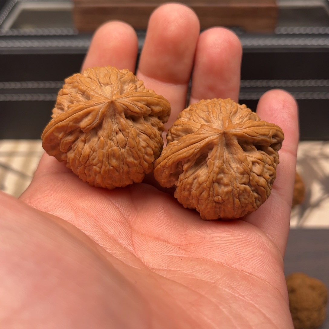 文玩核桃吊坠我***…41蛟龙