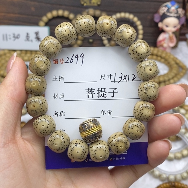 手串星月菩提13✖️12，2699