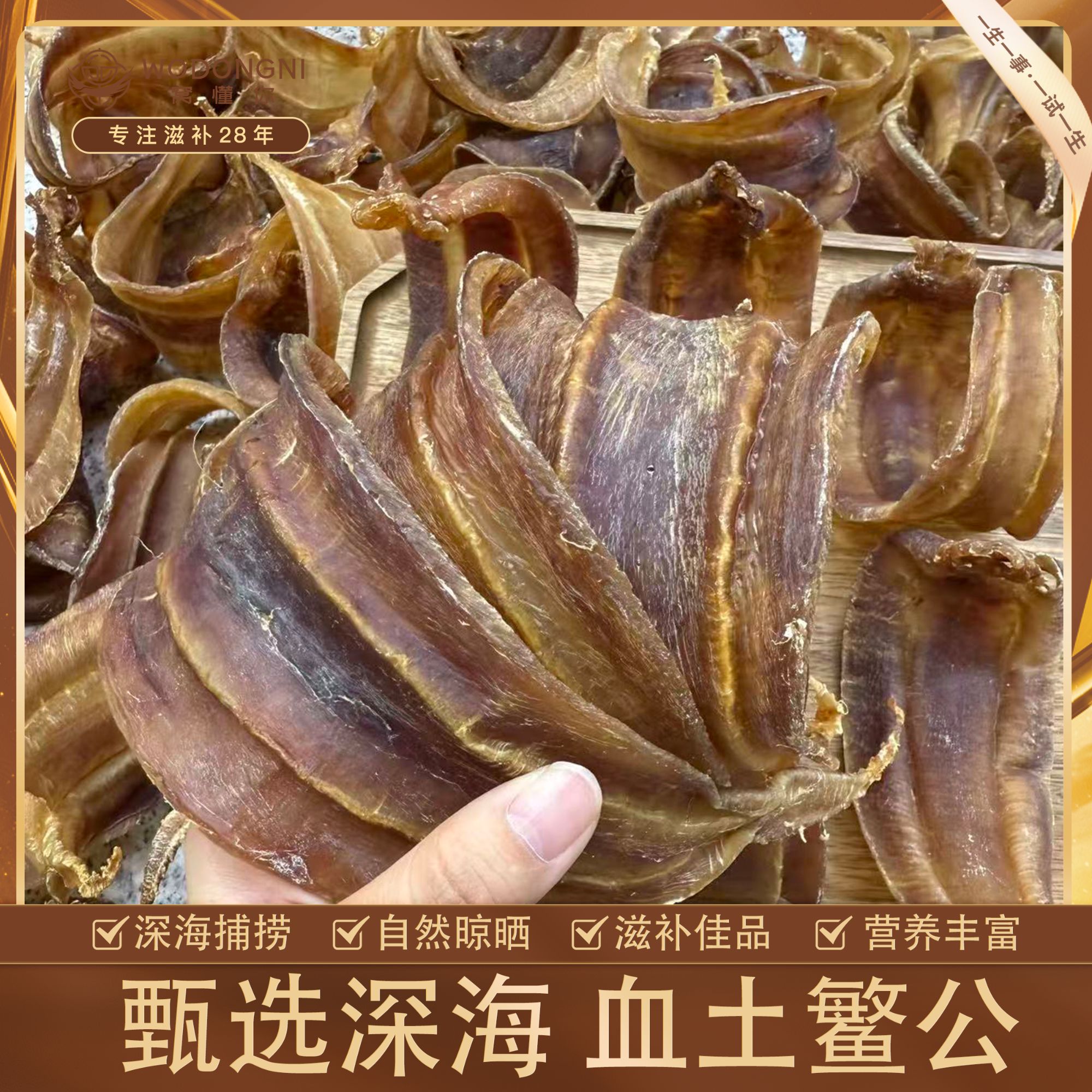 姗姗夫妇-10-11头血土鳘公干货花胶