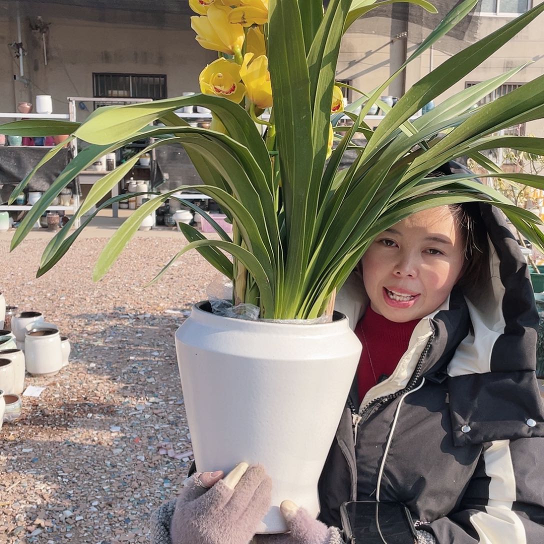 红陶王嫂花盆0113-宋白大收口