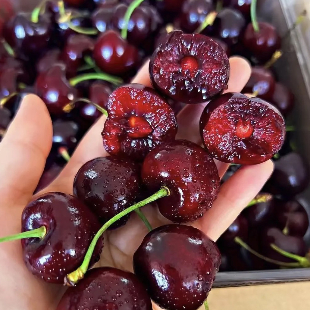 双J车厘子一公斤（海运无内附果径卡）智利