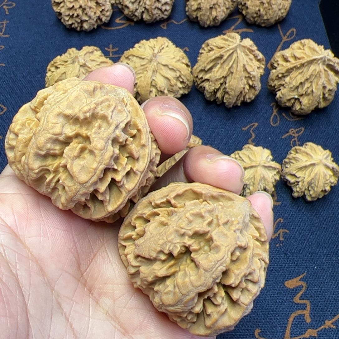 文玩核桃把件秦岭野生植物核桃