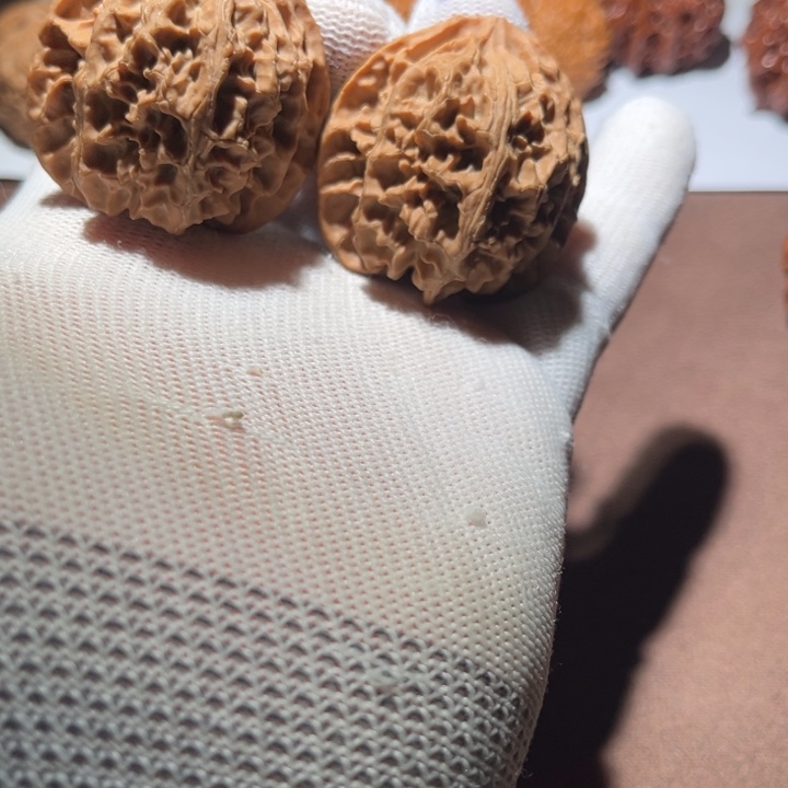 单***子精品苹果园40尺长
