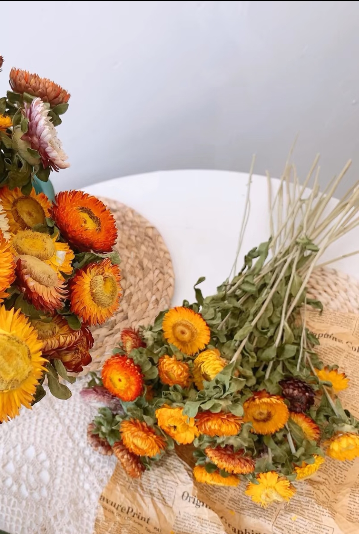 （麦秆菊）鲜切花可做干花花期超长懒人花材
