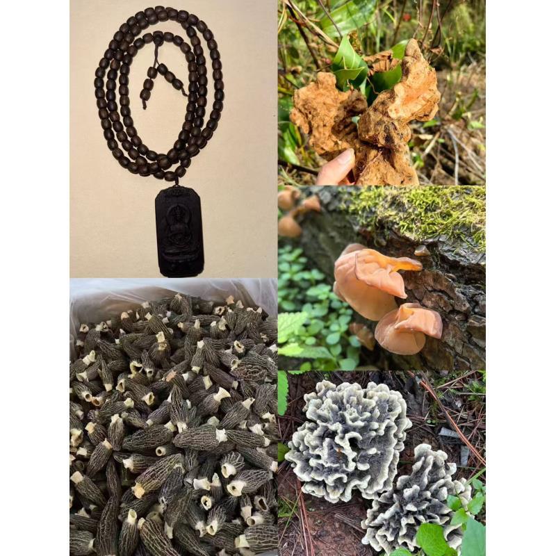 干货特产【专属土特151号YZHQ】多样性发货