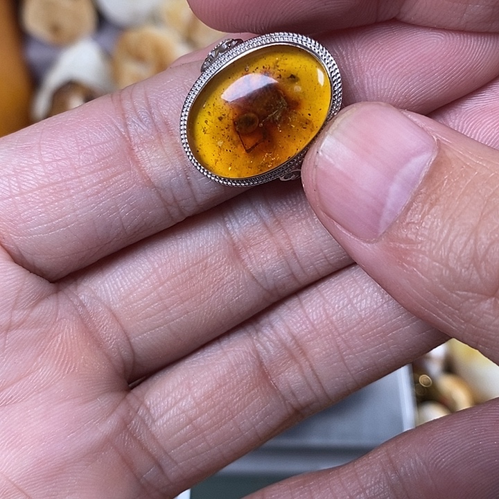 琥珀未镶嵌珠宝奇石我